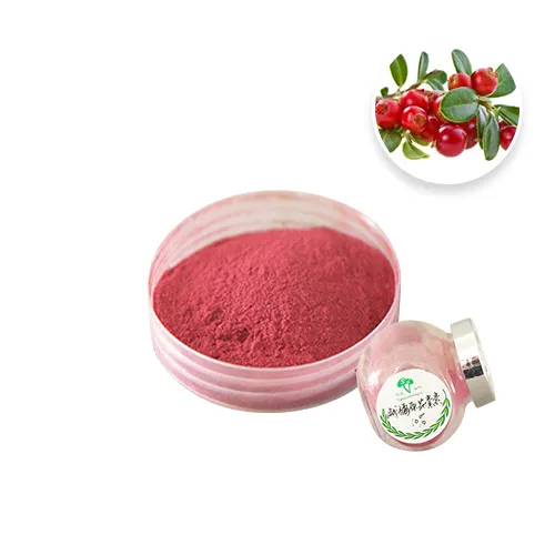 Bilberry Extract Powder